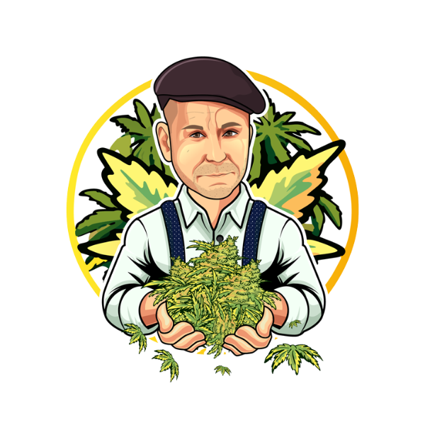 Magnum | Autoflower Cannabissamen von DonSeed