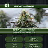 Bubatz Giganten | Quartett für Liebhaber